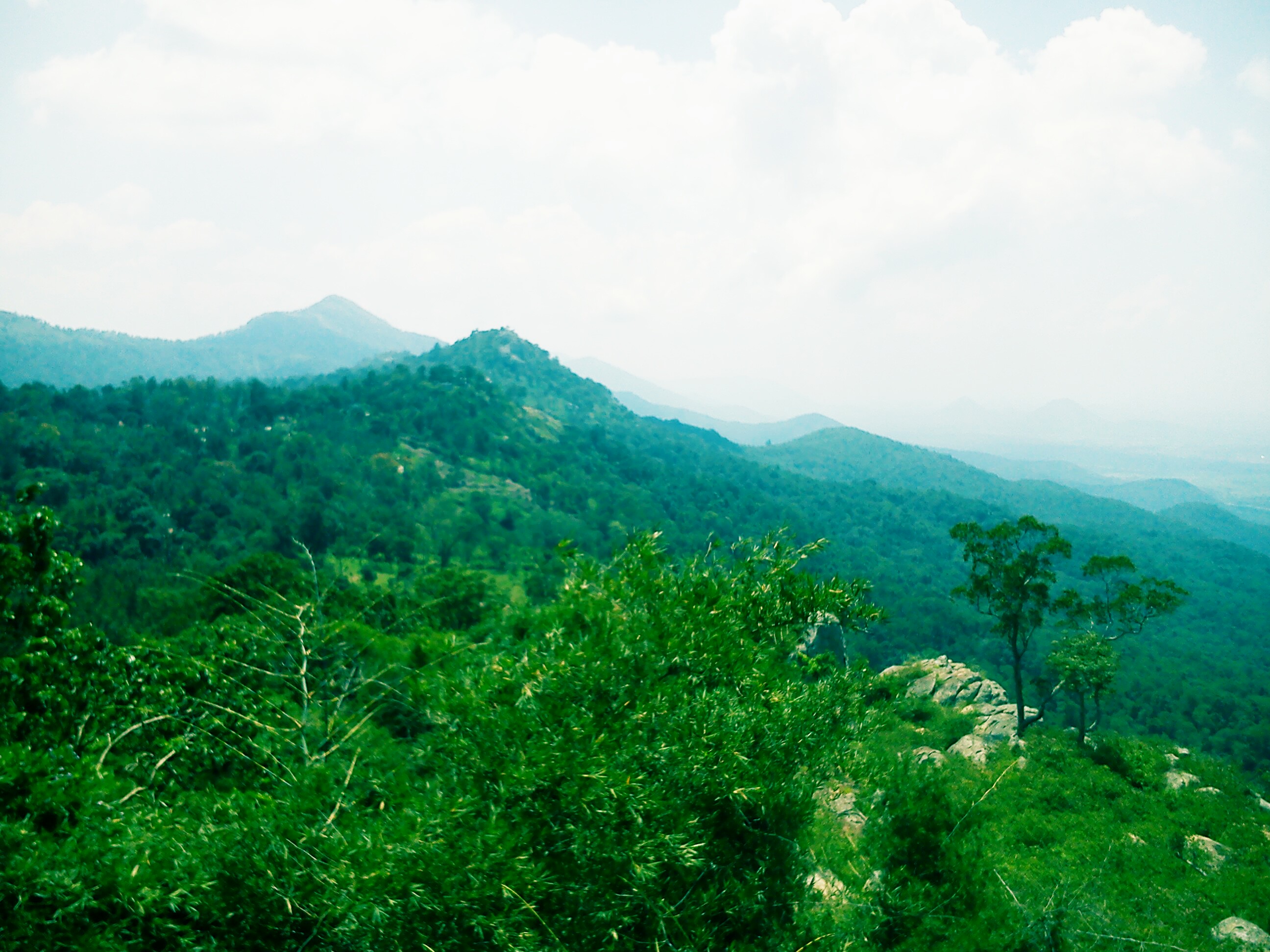 A short love affair with the road : B R Hills