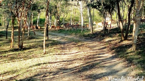 IMG_20160123_230457_369