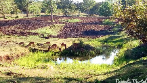 IMG_20160123_231301_856