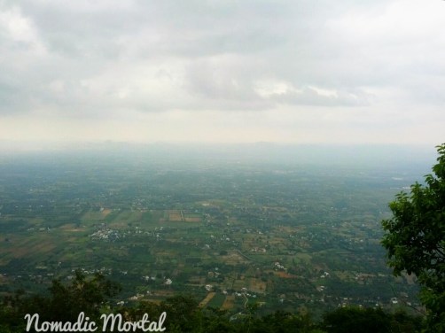 IMG_20151117_113103_510