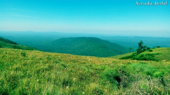 IMG_20160104_040710_619_wm