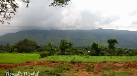 IMG_20151119_112440_374