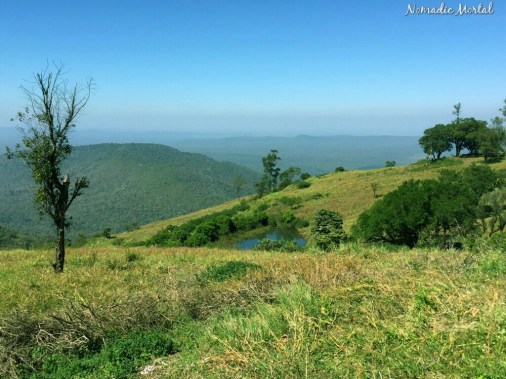 IMG_20160208_110243_527_wm