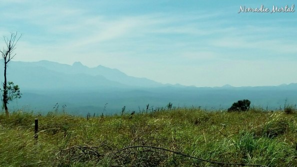 IMG_20160208_105515_002_wm