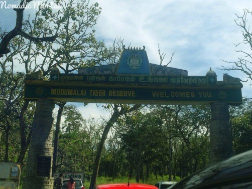 IMG_20160123_231517_584