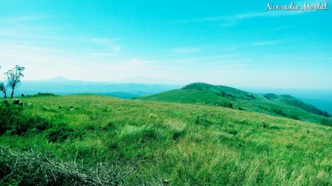 IMG_20160104_040835_898_wm