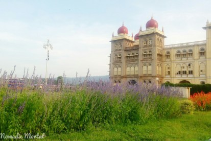 IMG_20151027_161343_849