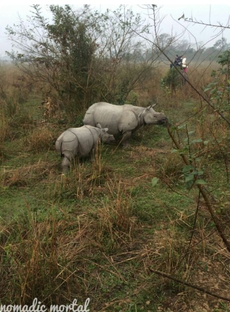 PhotoGrid_1456383791466