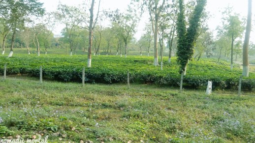 IMG_20160301_104931_239